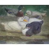 Walter Douglas, Untitled, Oil on Artist's Board of Ducks