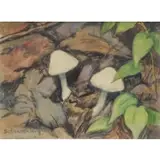 Henry Ernest Schnakenberg, Little Mushrooms., Watercolor "Little Mushrooms." Signed lower left
