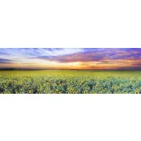 Peter Lik, Summer Dreams, Limited Edition Photograph "Summer Dreams" North Dakota