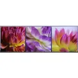 Peter Lik, Summer Flower Collection: Temptation, Beauty, and Purity