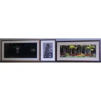 Thomas Mangeleson, November Snows, Bald Eagle, 3 Signed Limited Edition Photographs