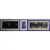 Thomas Mangeleson, November Snows, Bald Eagle, 3 Signed Limited Edition Photographs
