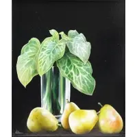Alain Geneau, Wally Findlay label verso, Oil on Canvas Still Life with Pears and Vase of Arrowhead Leaves