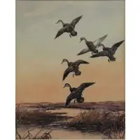Roland Clark, Roland H. Clark, American,1874 - 1957, Watercolor of Ducks in Flight