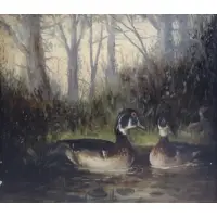 Wesley Webber, Wesley Elbridge Webber, American - 1841 - 1914, Oil on Canvas of Ducks in Pond