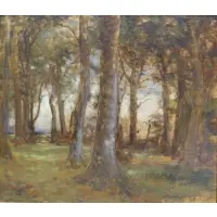 Alexander B Docharty, Alexander Brownlie Docharty, British, 1862 - 1940, Oil on Board Forest Landscape