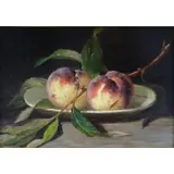 Mary Jane - Attributed Peale, Property of the Barnes Family., Oil on Panel Still Life with Peaches