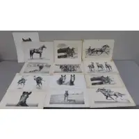 Clarence William Anderson, Clarence William Anderson, America, 1891-1971, 18 Lithographs of Horses
