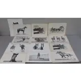 Clarence William Anderson, Clarence William Anderson, America, 1891-1971, 18 Lithographs of Horses