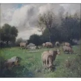 Richard Creifelds, O/C of Grazing Sheep