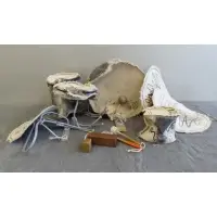 CO by Claes Oldenburg, Mixed media set including 9 sewn screen printed pieces with wood, rope, paint, etc, sold Jun 2012