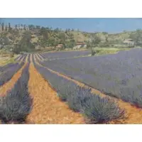 Christopher Sanders, Fields of Lavender., Oil on Canvas "Fields of Lavender." Signed lower right and label verso
