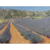 Christopher Sanders, Fields of Lavender., Oil on Canvas "Fields of Lavender." Signed lower right and label verso