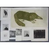 Aubrey Schwartz, Shrew, 8 Etchings/Intaglio Prints