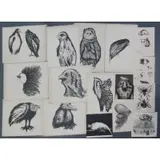 Aubrey Schwartz, Untitled, 22 Lithographs