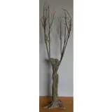 Dave Rizzo, Untitled, Bronze Metamorphosis of Daphne