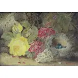 Oliver Clare, Flowers and Birds - Peaches and Grapes.