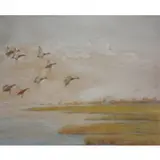 F.W Benson, , After, Watercolor of Ducks in Flight Signed center