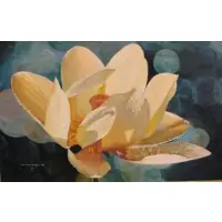 Jane Pickens Langley, Lotus.
