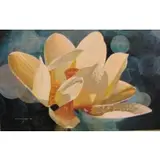Jane Pickens Langley, Lotus.