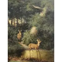 William Walton, O/C Deer in the Woods