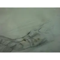 Antonio López García, Untitled