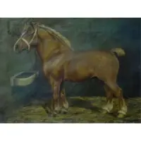 Wilhelm Westerop, Untitled
