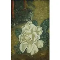 Helen Hyde, White Rose, Oil on Board