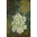 Helen Hyde, White Rose, Oil on Board