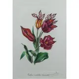 Salvador Dalí, Tulipa Crudeliter Basiantes (Kissing Tulips), Printed title lower center, pencil signed lower right and numbered VI/L lower left
