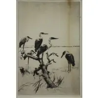 Herons at Rest by Frank Benson, Etching "Herons at Rest", sold Dec 2014
