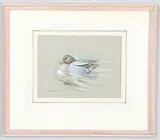 Basil Ede, Teal