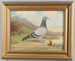Andrew Beer, - Pigeon Racing Portrait Of 'Blue Cock' & Gold Medal, including a large oil on canvas portrait of 'Blue Cock' within a landscape scene