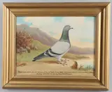 Andrew Beer, - Pigeon Racing Portrait Of 'Blue Cock' & Gold Medal, including a large oil on canvas portrait of 'Blue Cock' within a landscape scene