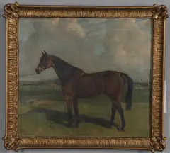 Nina Colmore, `Ferrans`, A Bay Racehorse