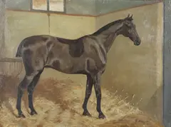 George Paice, A Clipped Bay Horse In A Stable, oil on canvas
