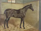George Paice, A Clipped Bay Horse In A Stable, oil on canvas