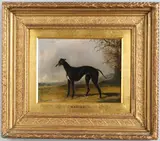 Henry Thomas Alken, `Maniac`, A Black Greyhound