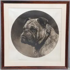 Herbert Dicksee, A British Bulldog, Etching