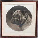Herbert Dicksee, A British Bulldog, Etching