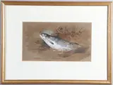 Sea Trout By A Grassy Bank by Archibald Thorburn, Watercolour and bodycolour, sold Sep 2024