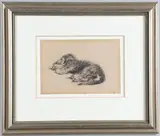 Cecil Aldin, Rough-Haired Dachshund Lying Asleep, Charcoal