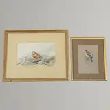 George Edward Lodge, Dotterel On The Tops