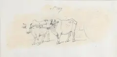 George Chinnery, Oxen Yoked To A Cart