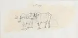 George Chinnery, Oxen Yoked To A Cart