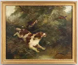 George Armfield, Spaniels Flushing Pheasant