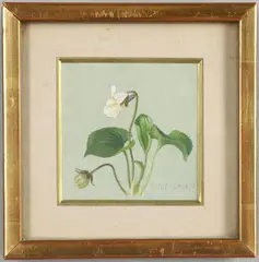Eliot Hodgkin, Violet