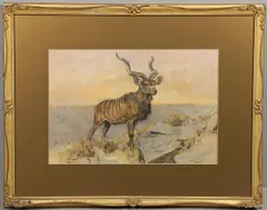 Arthur Wardle, Kudu On A Crag