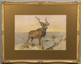 Arthur Wardle, Kudu On A Crag