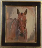 Charles Church, Head Study Of A Bay Horse